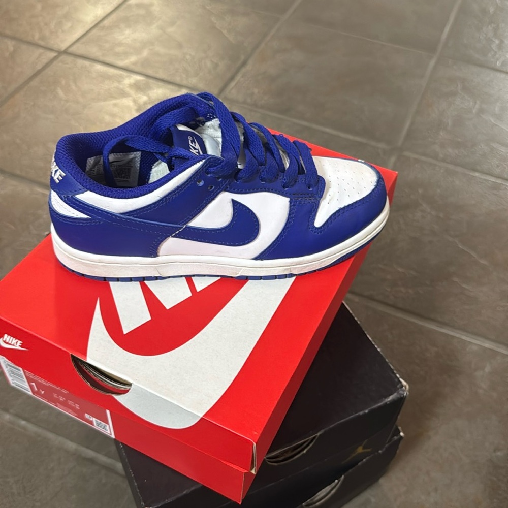 Nike Dunks Little Kid Size 1Y